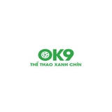 The "ok9vn2com" user's logo