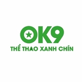 The "Ok9 world" user's logo