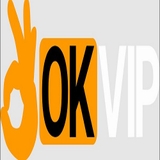 The "okvipge" user's logo