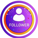 The "IG FOLL0WERS" user's logo