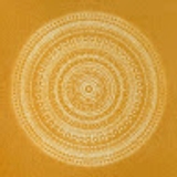 pavani mitchum