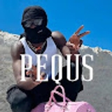 The "Pequs Store" user's logo