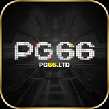 The "pg66ltd" user's logo