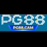The "PG88" user's logo