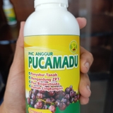 The "PUCAMADU YOGYAKARTA 7" user's logo