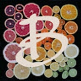 The "Belen Plaza Pujol" user's logo