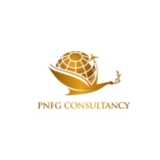 The "PNFG CONSULTANCY" user's logo