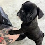Reilly Roel Ruiz Rocha