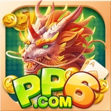The "PP6 Online" user's logo