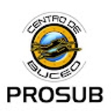 Prosub Limitada
