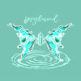 The "Psylucid " user's logo
