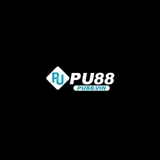 The "PU88 VIN" user's logo