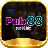 The "PUB88" user's logo