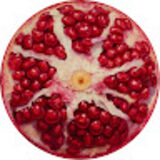 The "rakhel" user's logo