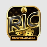 The "ricwinaeorg" user's logo
