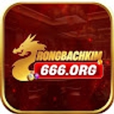 The "Rồng Bạch Kim 666" user's logo