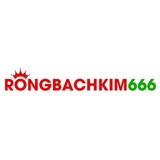 The "Rồng Bạch Kim 666" user's logo