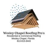Wesley Chapel Roofing Pro's
