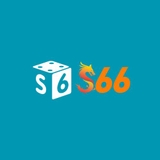 The "S666" user's logo