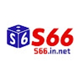 The "S66 in net" user's logo