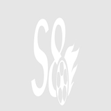The "S8   " user's logo