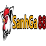 The "Sanhga88" user's logo