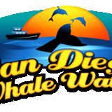 The "sdwhale watch" user's logo