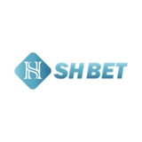 The "shbetsnet" user's logo