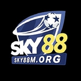 The "sky88org" user's logo