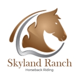 The "Skyland Ranch" user's logo