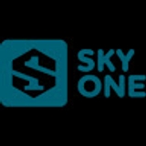 The "Skyone包网" user's logo