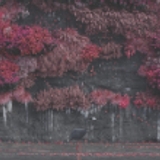 The "[FULL ALBUM] Sleep Token Even In Arcadia Album Download" user's logo