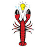 The "Alexandru Damian" user's logo
