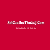 The "Soi Cầu 247" user's logo