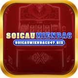 The "soicaumienbac247biz" user's logo