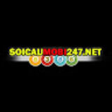 The "Soi cầu 247 Nuôi lô khung" user's logo
