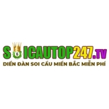 The "Soi cầu top 247 - Website Soi Cầu 247 miền bắc miễn phí" user's logo