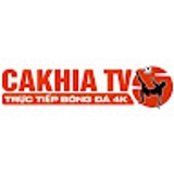 The "southfloridatheatrescene com gia mao" user's logo