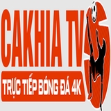 The "southfloridatheatrescene com die web" user's logo