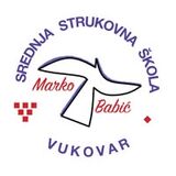 The "Strukovna Škola Marko Babić" user's logo
