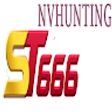 The "ST666" user's logo