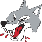 The "Sudbury Wolves" user's logo