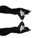 The "송다예  " user's logo