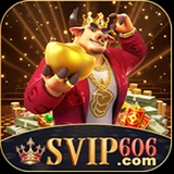 The "svip606combr" user's logo