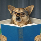 The "Best Books" team's logo