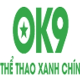 The "tác giả Trần Lương Cứng" user's logo