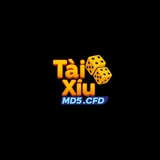 The "Taixiumd5 cfd" user's logo