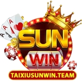The "taixiusunwinteam2024" user's logo