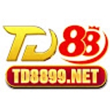 The "td88 99net" user's logo