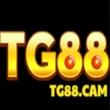 The "TG88 cam" user's logo